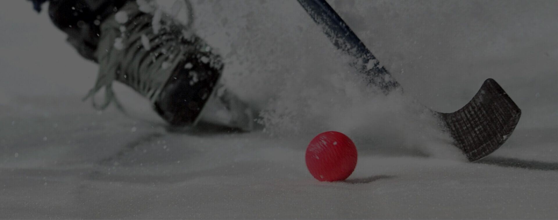 bandy