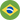 Português - Brasil